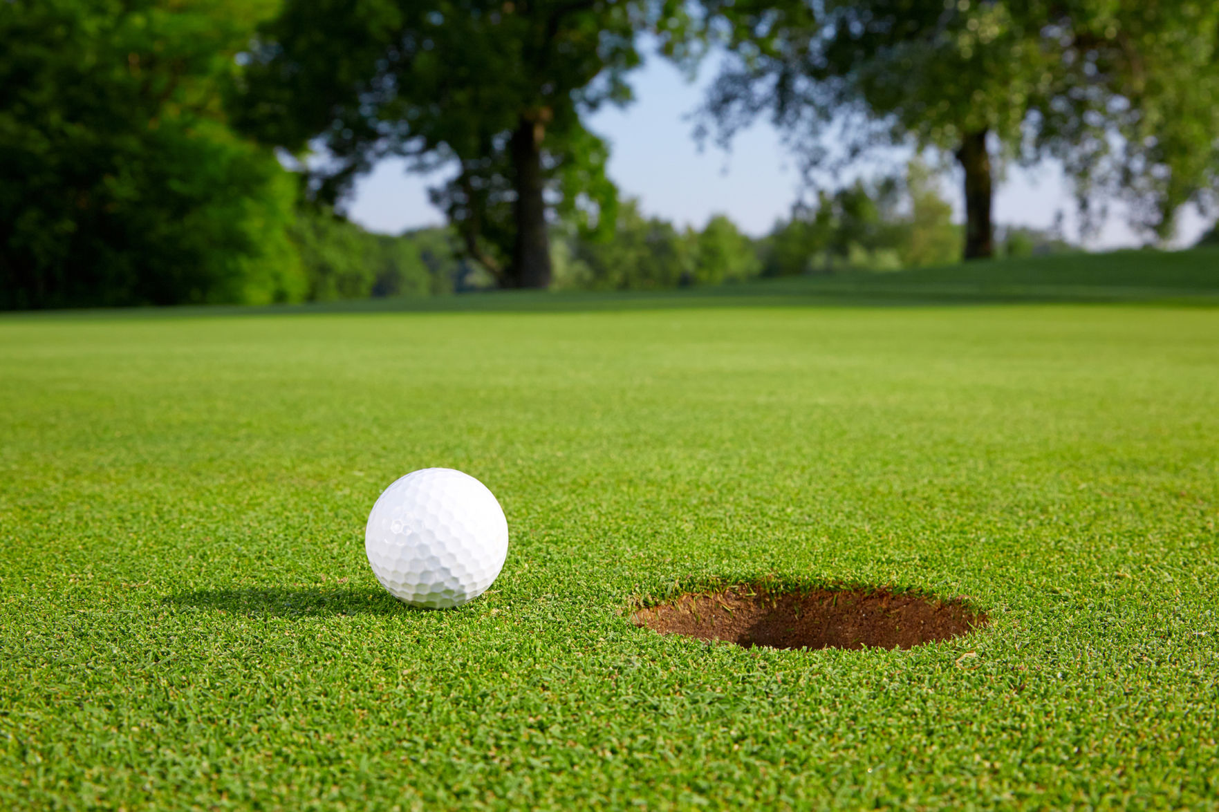 Host a golf outing